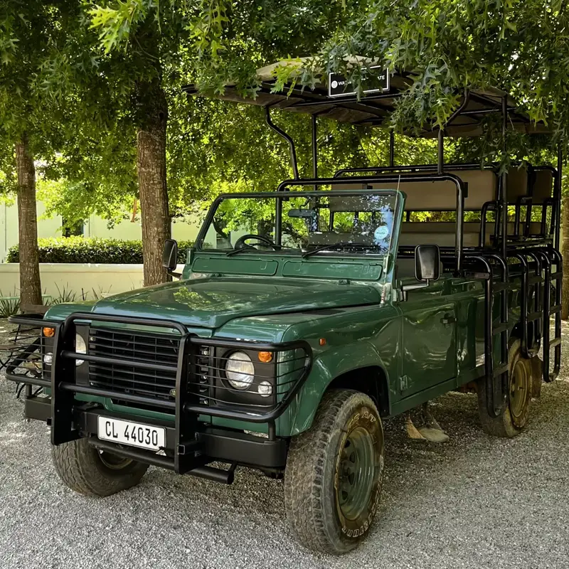 Vineyard Safari at Warwick Wine Estate 